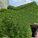 (유)문화택시 이미지