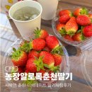 춘천농장 | 춘천 농장알로록춘천딸기, 춘천 이색데이트 딸기농장체험후기