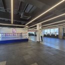 복싱피스트 이미지