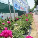 복주여자중학교 이미지