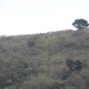 낮은제주 이미지