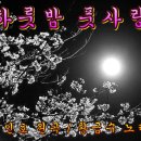 하룻밤 풋사랑 / 손인호 이미지