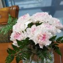 음악이 있는 힐링원예 이미지