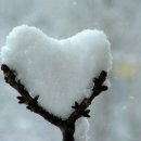 포스코정문부동산공인중개사사무소 이미지