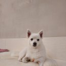 오랑개 용인흥덕점 이미지