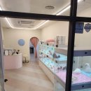 우리애견 이미지