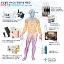 이바인코리아