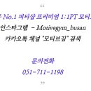 피티샵 이미지