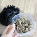 바른멍쿡 이미지