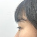 봉자속눈썹 이미지