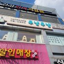 신현대약국 | 부산고양이무마취미용 서면 무냥무냥