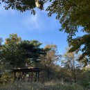 어슬티굿밤 이미지