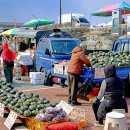 오일시장 체육공원 이미지