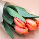 샬롬음악학원 이미지