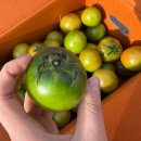 보내농장 이미지