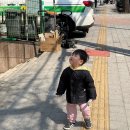 노엘어린이집 | 26년 3월 下 23개월 아기와 워킹맘 일상 | 배변훈련, 미리생파