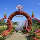 2021 태화강 빛 축제 이미지