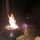 호명산잣나무숲캠핑장 | [백패킹 기록🏕] 딱 15분만 걸으세요! 초보 백패커도 부담 없는 호명산 잣나무숲 캠핑장 후기