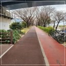 낙동제방 자전거도로 이미지