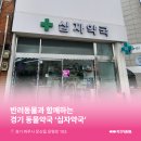 십자약국 이미지