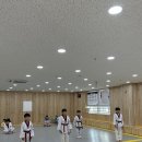 새연태권도 이미지