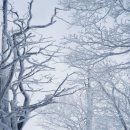 화신목장 이미지