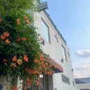 광산철물점 | [반셀프 인테리어] 리모델링 공사 전 엘레베이터 보양 직접 한 후기 (준비물, 구매처, 팁)