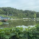 아방리낚시터 이미지