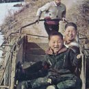까까머리 - 태안군 | 까까머리