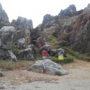 벽진초등학교 이미지