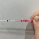 창원시마산보건소시락보건진료소 | [임신준비] 창원 엘르메디 난임검사 후기/ 보건소 난임진단비지원신청 / 비용