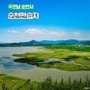 순천만둥지 | 순천만습지 용산전망대 입장료 여름에 본 풍경