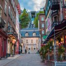 City Car Service 이미지