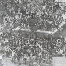 경북대학교 미술관 이미지