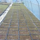 문안목장 이미지