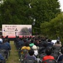 석성동헌 탱자나무 이미지