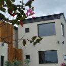 스테이놀 이미지