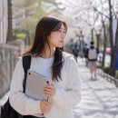 지방대 vs 인서울 현실 차이, 대학 가보면 생각보다 더 크게 느껴진다