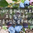 보름기정떡 광교상현점 이미지