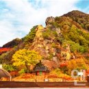 상동읍 꼴두바우공원 이미지