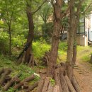 원동양계장 이미지