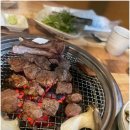 윤)요기가고기가윤