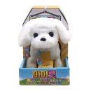 펫앤쇼핑 이미지