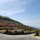 삼덕공원 이미지