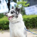 중사지농장 네이버블로그