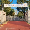 송우환경(주) | 포천 송우초등학교 등하굣길이 안전해졌어요! (주)원전기업 옐로우 카펫 설치 후기