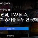 프레쉬앤빌 | snl 코리아 보는법, 쿠팡 와우, 플레이 무료체험 및 해지하기