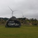 1004섬수석미술관 이미지