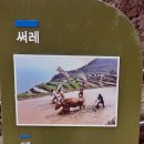 가천다랭이마을 이미지