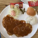 금화왕돈까스김포운양점 | 금화왕돈까스 김포운양점 첫방문 후기